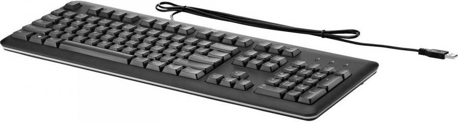 HP Usb toetsenbord Voor Pc(Qy776aa#abb ) online kopen