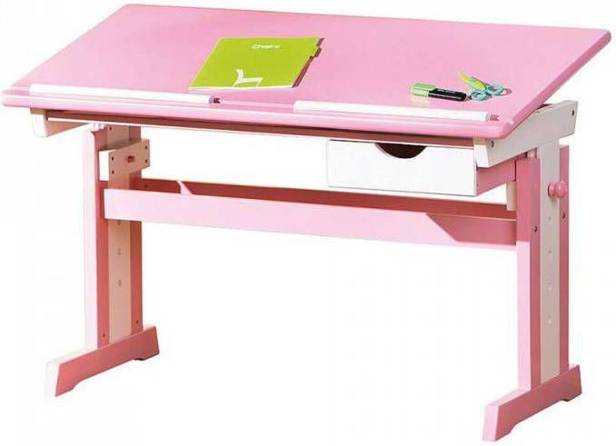 Leen Bakker Kinderbureau Cecilia roze 65, 5x109x55, 5 cm online kopen