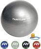 Tunturi Fitnessbal Gymball Swiss ball Ø 65 cm Inclusief pomp Zilver online kopen